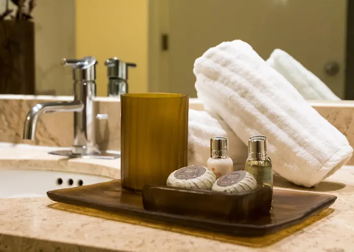 Doma Polanco Hotel 5*