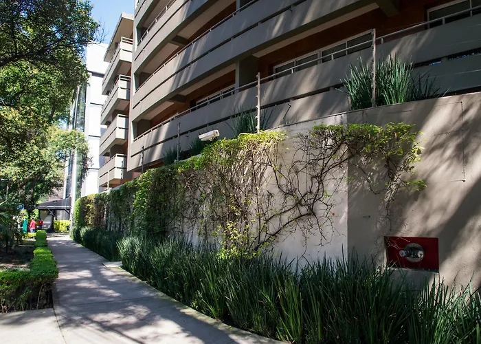 Отель Doma Polanco
