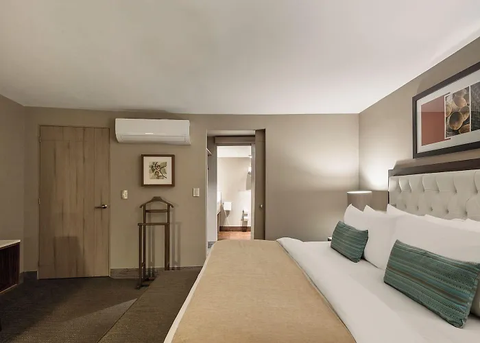 Doma Polanco 5*